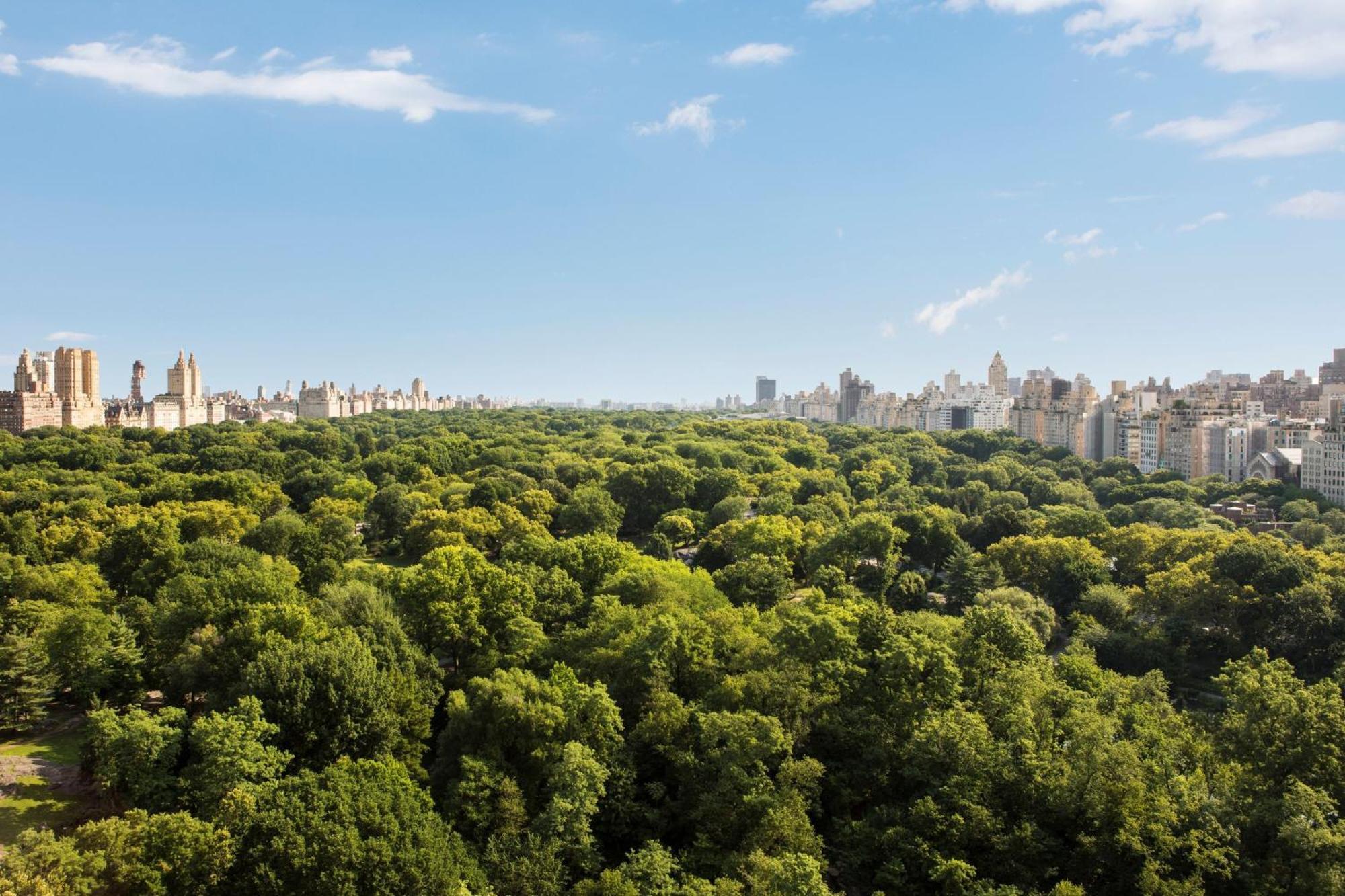 The Ritz-Carlton New York, Central Park Экстерьер фото