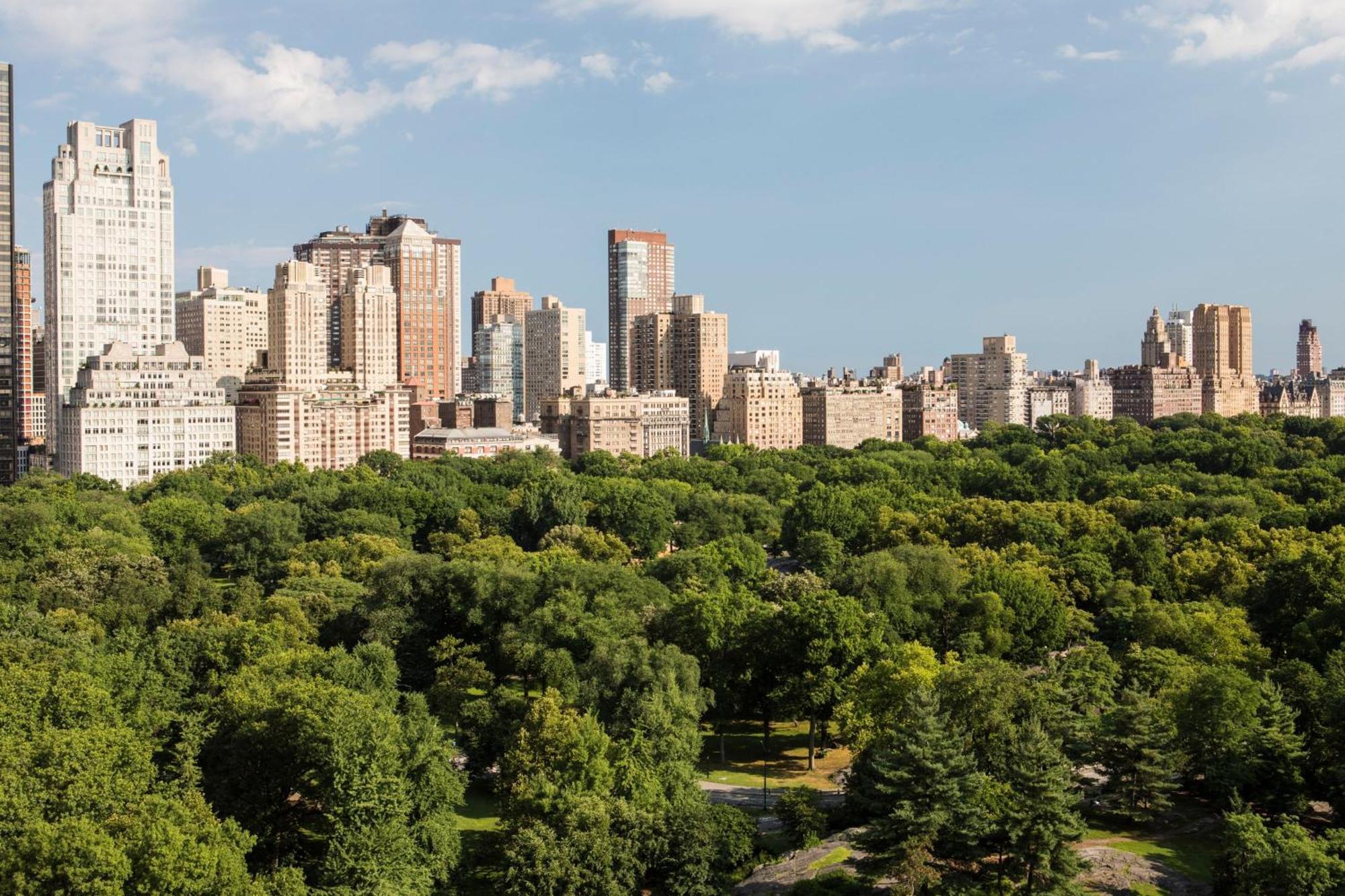 The Ritz-Carlton New York, Central Park Экстерьер фото